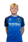 Kriechbaumer 
